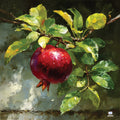 Pomegranate Branch