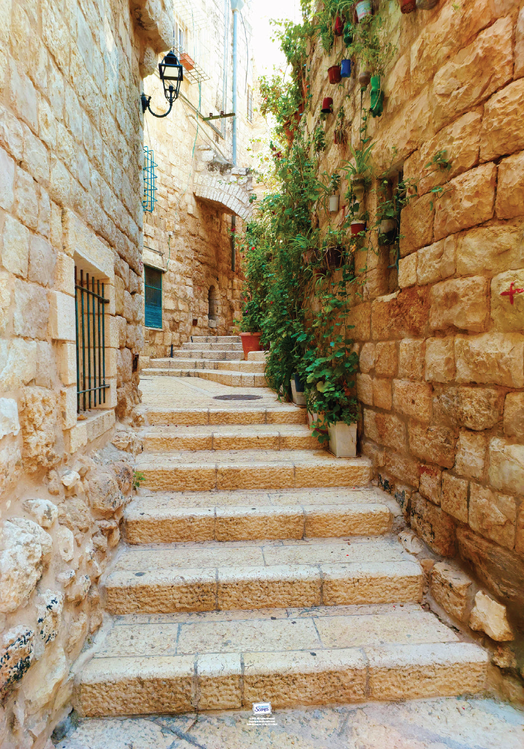 Steps of Eretz Yisroel: Jumbo Mural