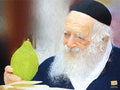 Rav Chaim's Esrog