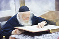 Rav Chaim Kanievsky Learning