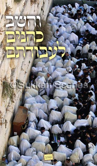 V'Hasheiv Kohanim